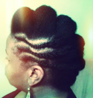 Nelle&rsquo;s Puff Hawk