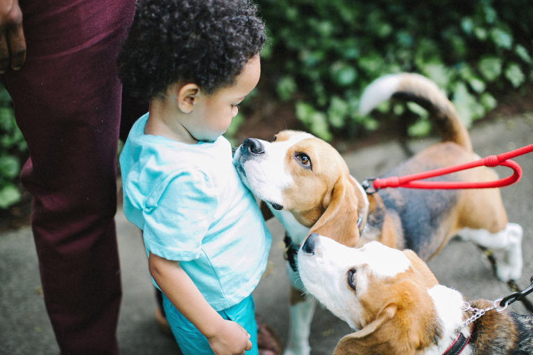 Please Stop Comparing Your &ldquo;Fur Baby&rdquo; to My Human Child